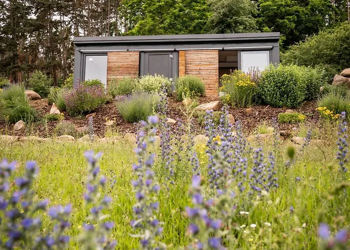 Tiny House Sedla Дом отдыха